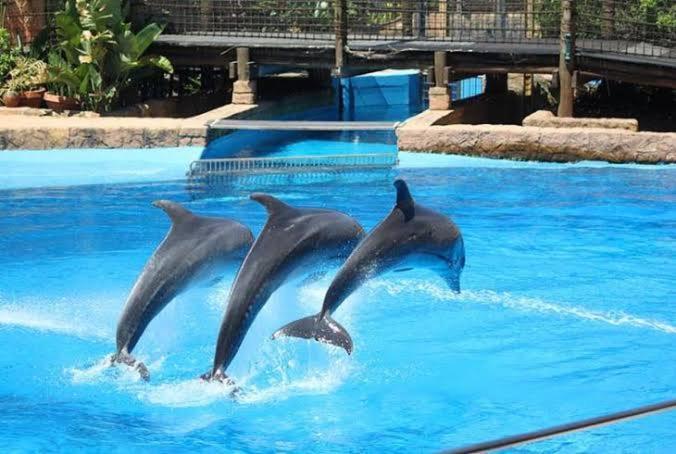 Summersands Durban North Beach Екстериор снимка
